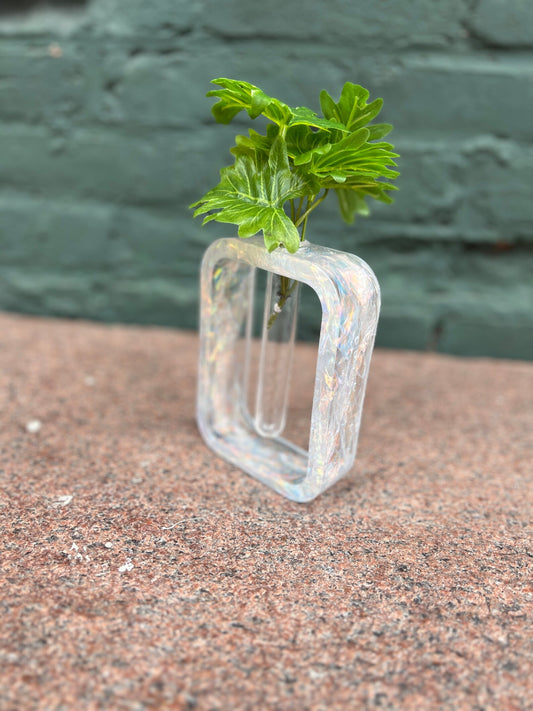 Personalized "Luminous Growth" Iridescent Rectangle Plant Propagation Holder - Made to Order