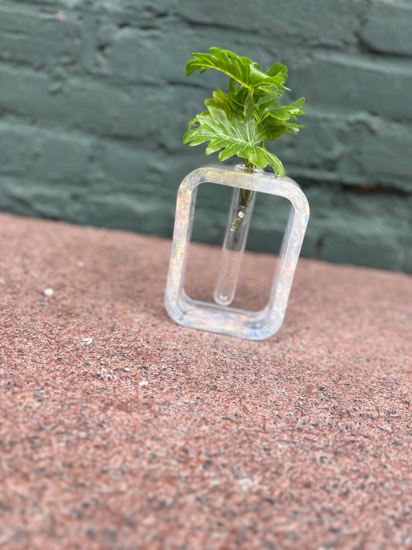 Personalized "Luminous Growth" Iridescent Rectangle Plant Propagation Holder - Made to Order